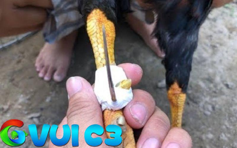 Tìm hiều về kỹ thuật băng cựa gà đá