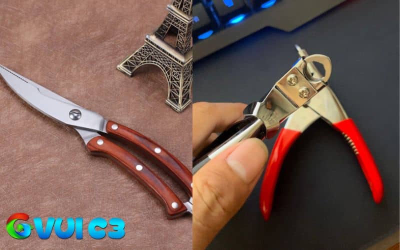 Các dụng cụ cần chuẩn bị trước khi bắt tay vào cắt cựa gà đá Các dụng cụ cần chuẩn bị trước khi bắt tay vào cắt cựa gà đá