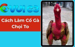 Cách Làm Cổ Gà Chọi To