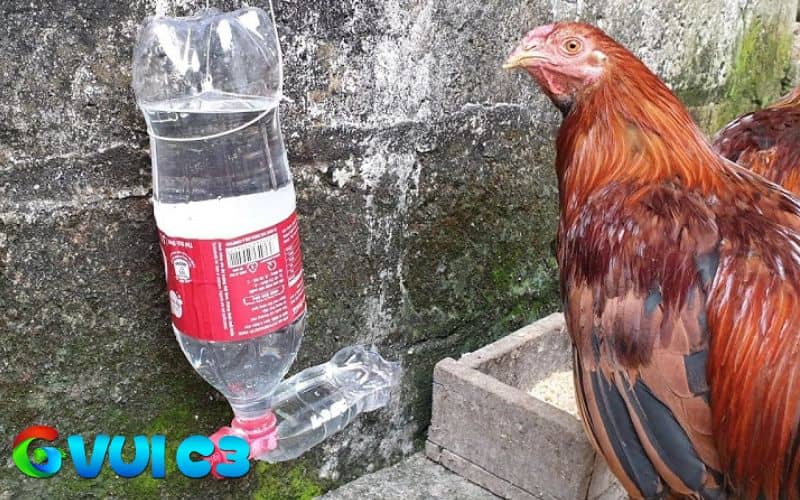 Để bình nước hoặc mát uống ở nơi mát, có nhiều bóng râm
