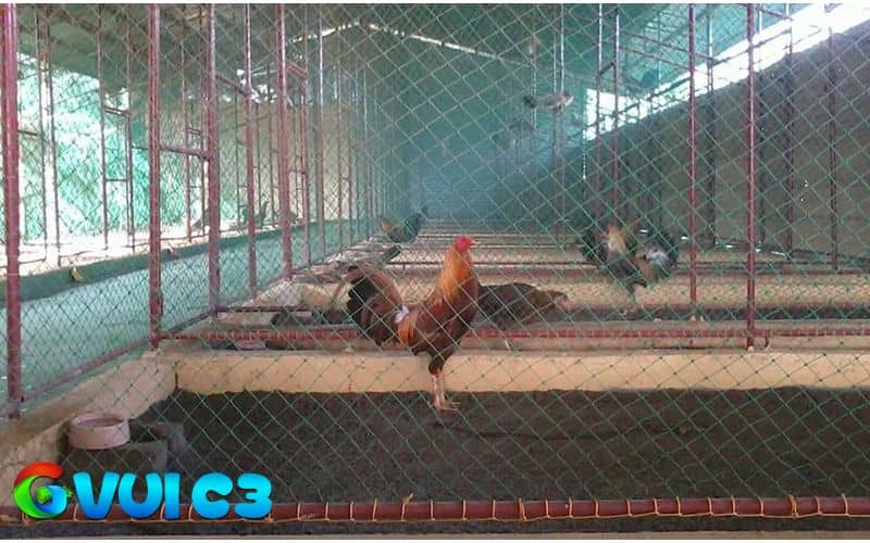 Điều chỉnh chế độ ăn giúp quá trình giảm cân được diễn ra nhanh chóng Điều chỉnh chế độ ăn giúp quá trình giảm cân được diễn ra nhanh chóng
