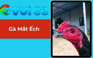 Gà mắt ếch