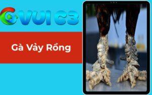 Gà Vảy Rồng