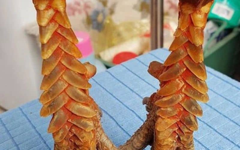Hình dạng của vảy
