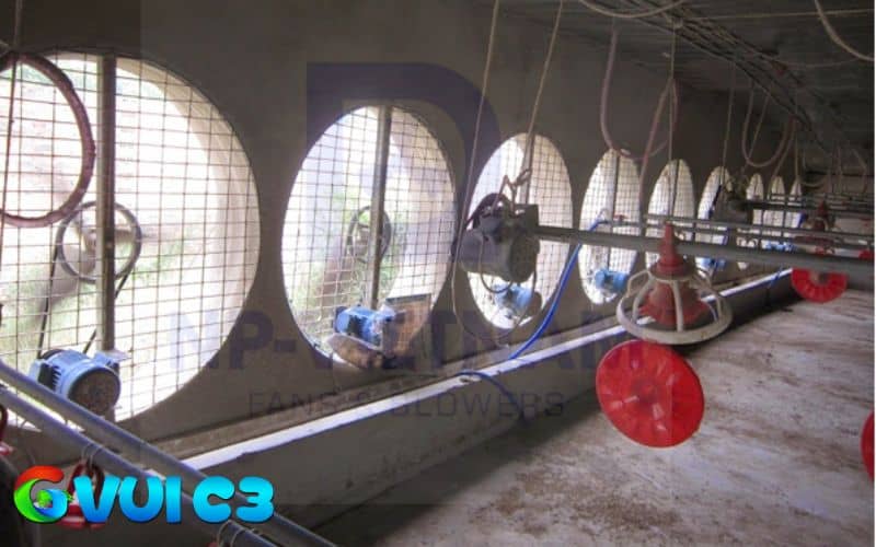Trang bị hệ thống làm mát giúp gà không bị sốc nhiệt