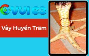 Vảy Huyền Trâm