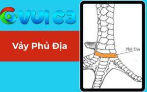 Vảy Phủ Địa