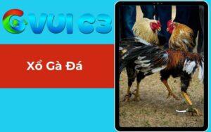 Xổ Gà Đá