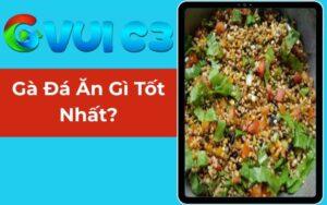 Gà Đá Ăn Gì Tốt Nhất