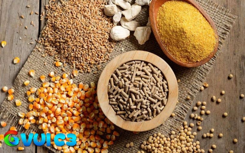 Nếu không lựa chọn thức ăn phù hợp sẽ ảnh hưởng nhiều đến cơ thể của gà đá Nếu không lựa chọn thức ăn phù hợp sẽ ảnh hưởng nhiều đến cơ thể của gà đá