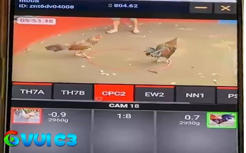 Người chơi đặt cược tại các nhà cái không uy tín Người chơi đặt cược tại các nhà cái không uy tín