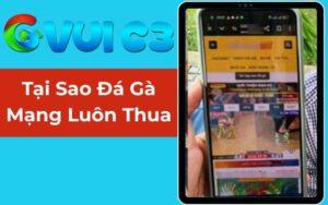 Tại Sao Đá Gà Trên Mạng Luôn Thua