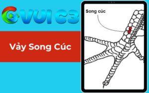 vảy song cúc