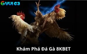 Khám Phá Đá Gà 8KBET